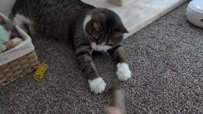 If she keeps randomly tapping she'll eventually get it, right? 😹