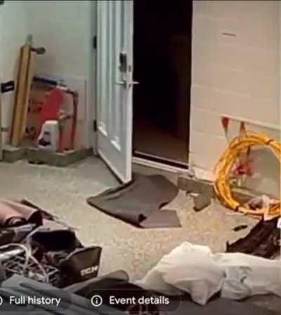 Two thieves break into a house, and this guy ends up inviting them back in to continue beating them