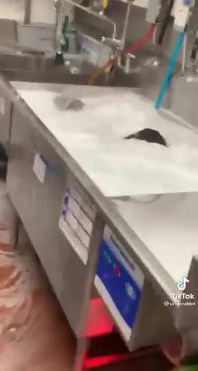 Cannonball into a sink