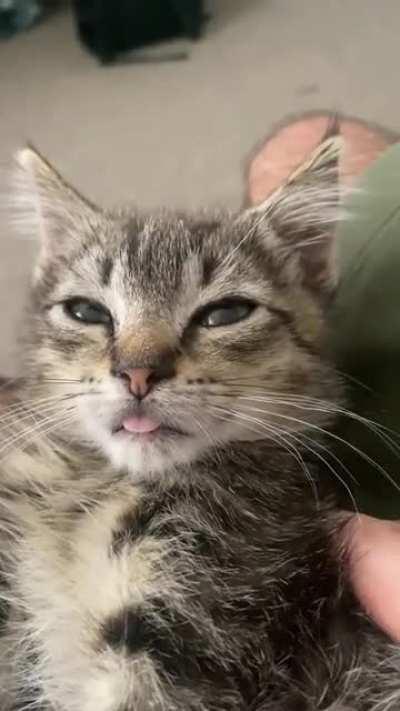 Khajiit helps you smile, if you have the coin 😸