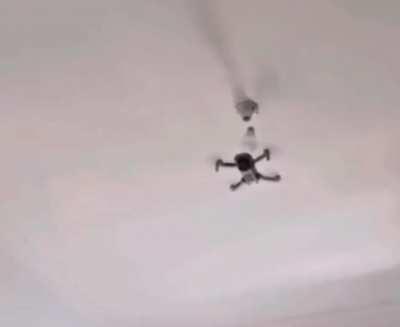 No time for caution...