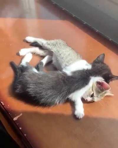 I'm gonna rest right...here!