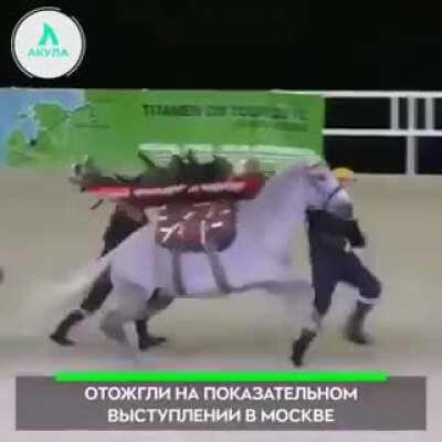 Horses are good for riding, not carrying stretchers