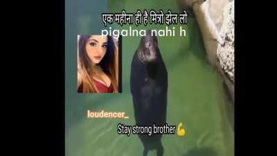 Raste m kathinai toh aainge hi
