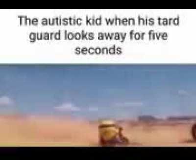 Were did that scallywag go?