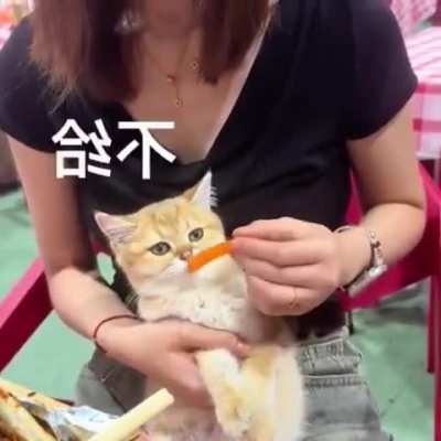 Me when someone tries to give me Jam e Shirin