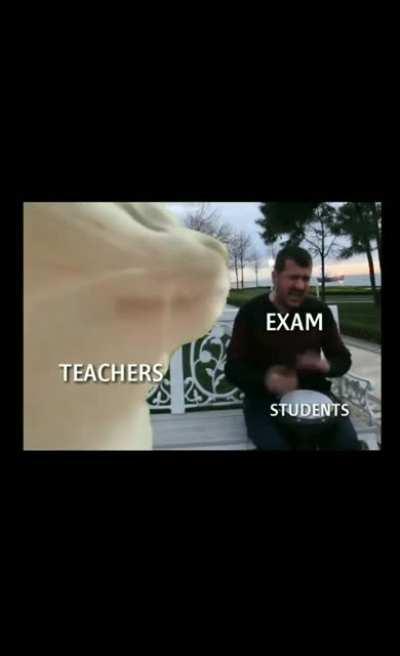 Pretty much sums it up