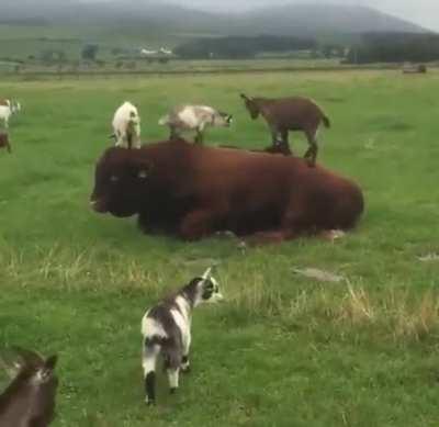 Getting a free massage