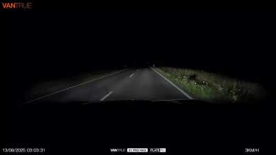 [USA] Had to slow down to let the animals pass