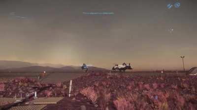 I've heard of strong winds but this really takes the drake