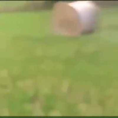 Jumping over rolling hay