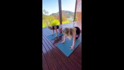 15 min Carol Mega compilation gym, ass shaking, pure carol