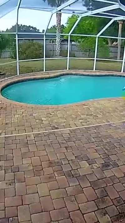 What a kind gentleman