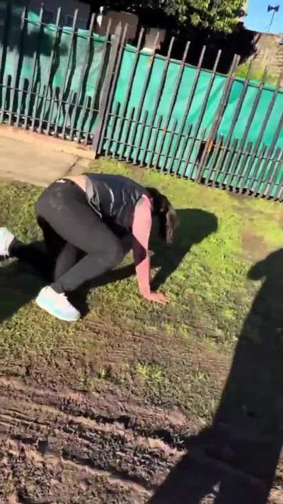 Coace doamne prunele