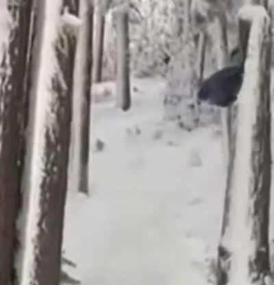 HMFT after I go skiing