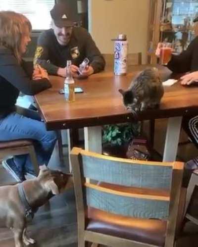 When keeping it real goes wrong