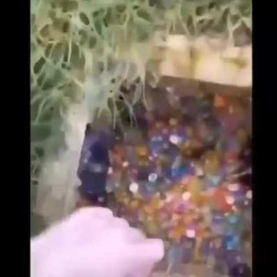 a work of art in its purest form (heil spez)