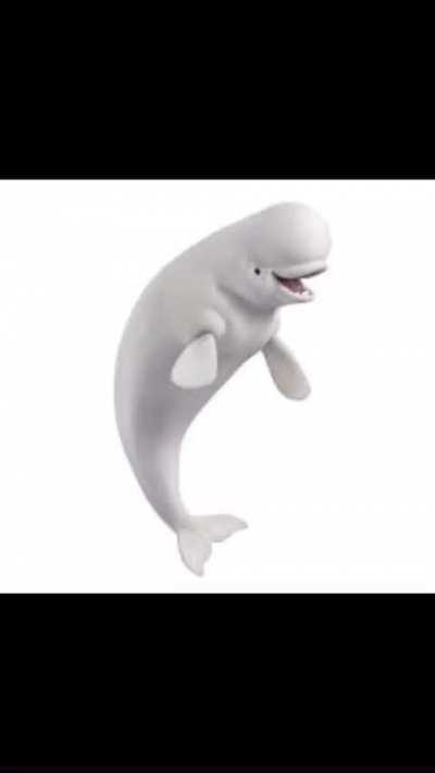 I'll hide my whole family