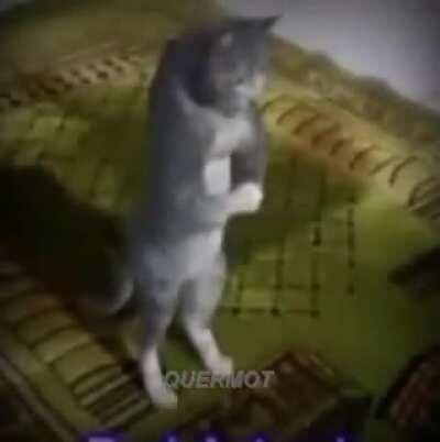 Have you prayed 5 times today?