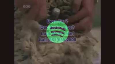 Spotify ad but the spo is and ad as hexed vices