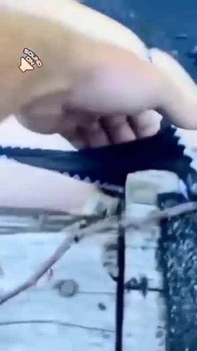 Качественные труселя