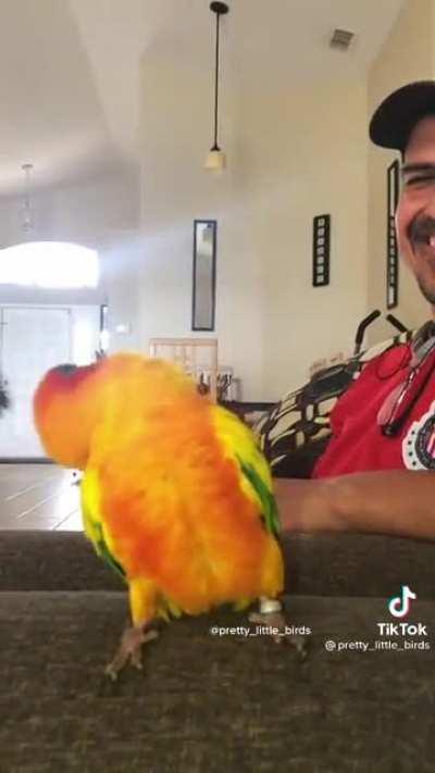 Spreading Birb Love: Day 6