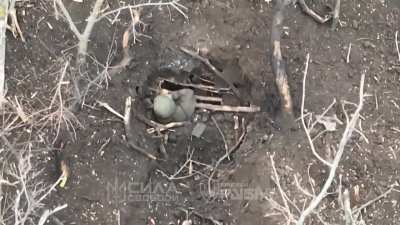 Ukraine's National Guard 4th Brigade, 3rd Battalion 