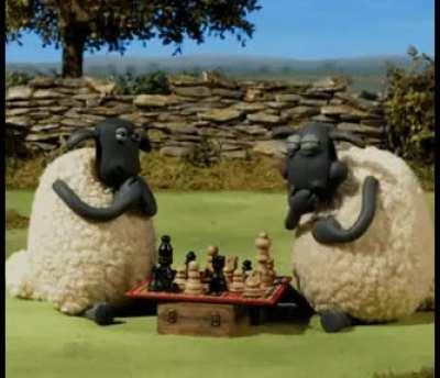 Me after analysing the board for 10 straight minutes