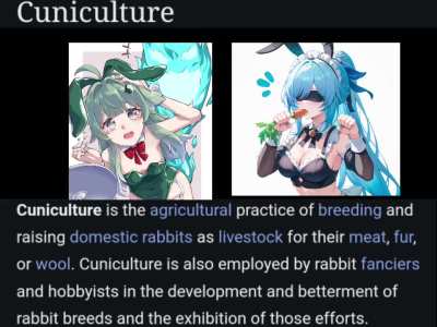 Rabbit Breeding💢💢