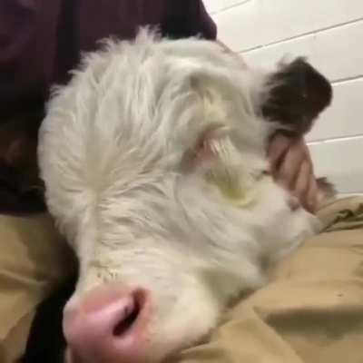 What a sweet sweet soul