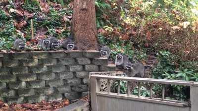 Sitting Down for Thanksgiving Dinner