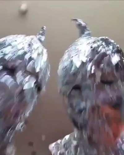 Pouring molten metal into a tree stump