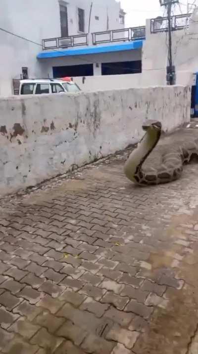 normal day in India