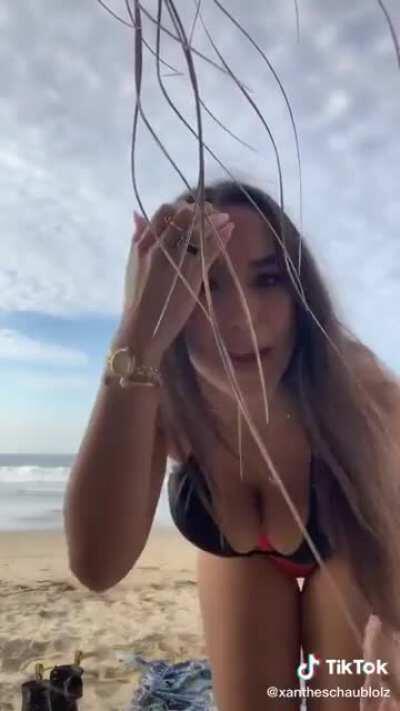 Those are some assets