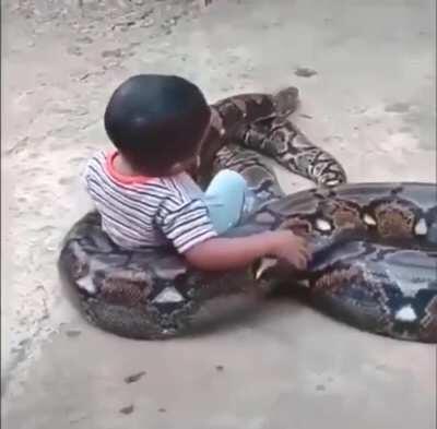 Boy Playing with a Big Boa
