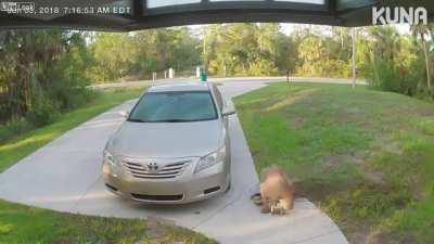 Just another day in Florida