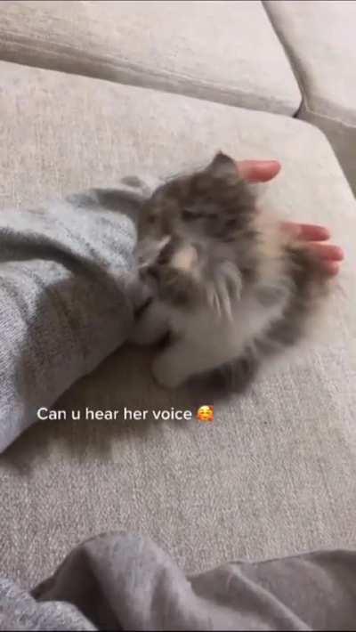 Sound on 🥺