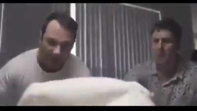 Luta de travesseiros