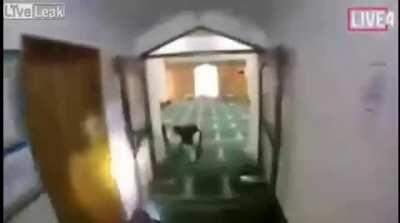 Based Serb admirer Brenton Tarrant