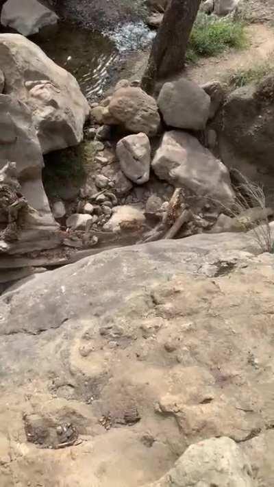 Rolling a big rock onto a log