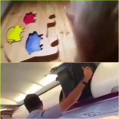 Petition to make pigs officially Human 2.0