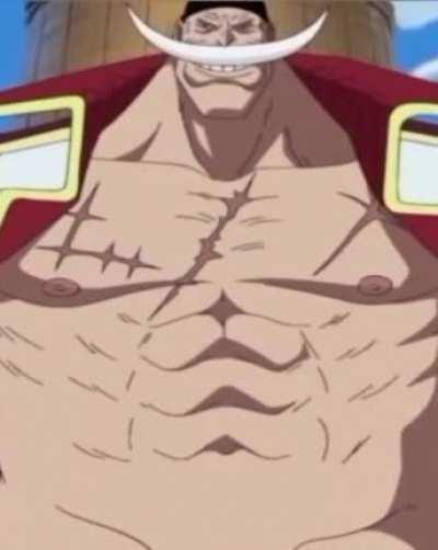 THE ONE PIECE IS REAL