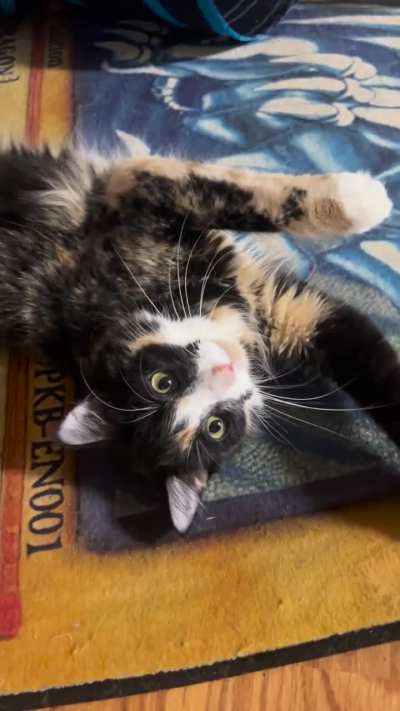 You tell ‘em, Email!