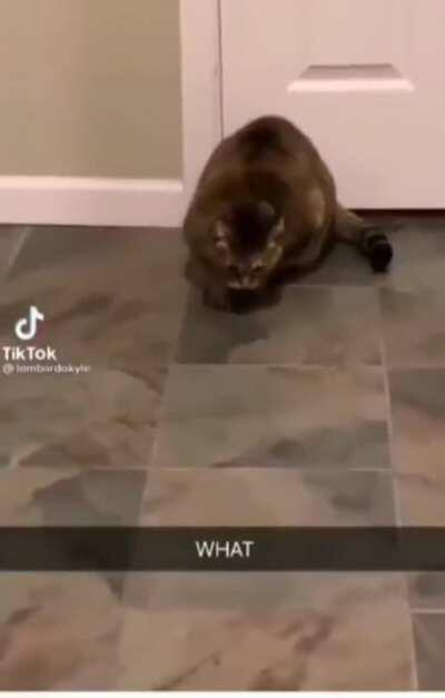 A satanic ritual perhaps?