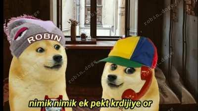 CREDIT TO : ROBIN THE DOG