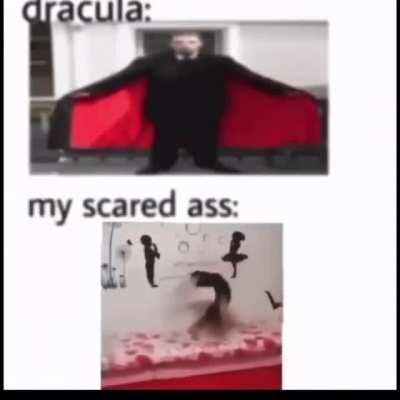 Every reason to be scared