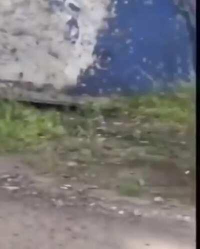 Мудрые слова