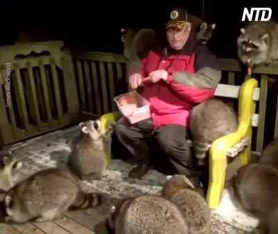 James “Raccoon Whisperer” Blackwood has been feeding raccoons on his porch for 21 years. This year, more have shown up.