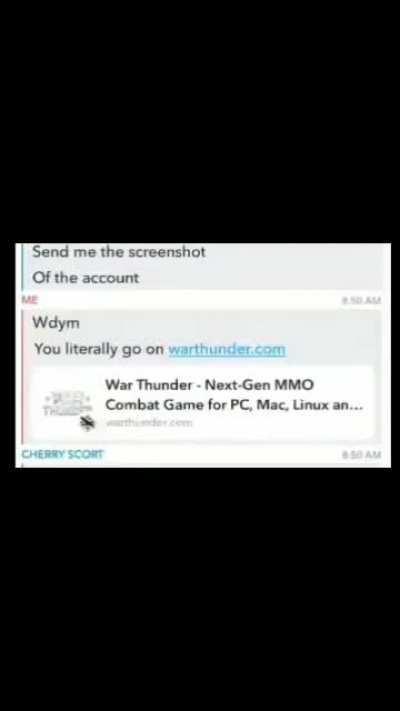 Sigma War Thunder player