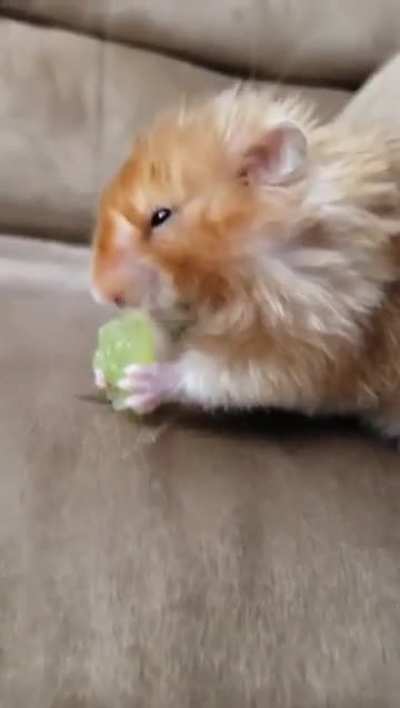 Yummmm